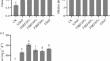 Effects of Rice Straw Returning on the Yield and Quality of Common Buckwheat