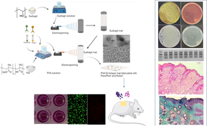 Dual phage-incorporated electrospun polyvinyl alcohol-eudragit nanofiber matrix for rapid healing of diabetic wound infected by Pseudomonas aeruginosa and Staphylococcus aureus.