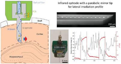 Silicon Optrode with a Micromirror-Tip Providing Tunable Beam Profile During Infrared Neuromodulation of the Rat Neocortex