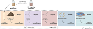 Exploring long-term retention and reactivation of micropollutant biodegradation capacity.