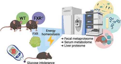 Multiomics to Characterize the Molecular Events Underlying Impaired Glucose Tolerance in FXR-Knockout Mice.