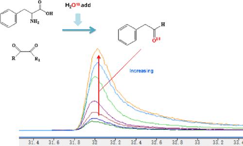 Impact of the Water Content in Peanut Kernels on the Generation of Benzeneacetaldehyde in Roasted Peanut Oils