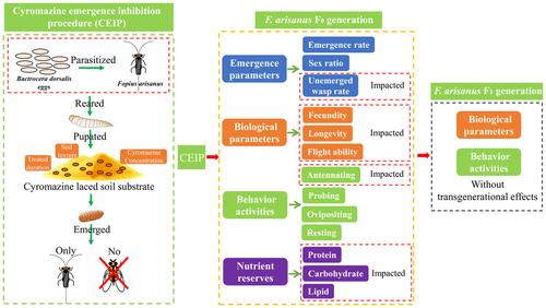 Impacts of the cyromazine emergence inhibition procedure of Bactrocera dorsalis on Fopius arisanus: implications for the biological control of diptera pest.