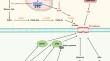 Targeting ferroptosis by natural products in pathophysiological conditions.