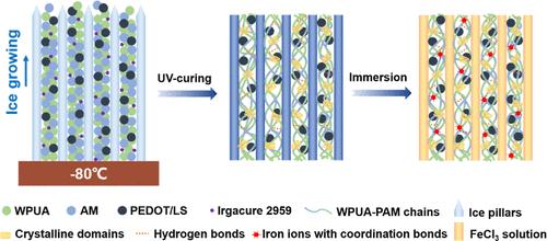 High-Sensitivity Conductive Copolymer Hydrogel for Multifunctional Flexible Wearable Sensors Based on Salting-Out after Freeze-Casting Assisted UV-Curing