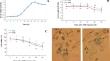 Establishment of Physalis alkekengi cell suspension culture: time-dependent behavior of genes related to the steroidal compounds, key enzymes, and physalins under static magnetic field.