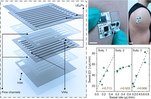 A crosstalk-free dual-mode sweat sensing system for naked-eye sweat loss quantification via changes in structural reflectance