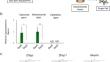 Comprehensive analysis of transcription factors involved in odontoblast differentiation mechanism.