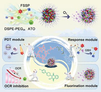 Modular Prodrug-Engineered Oxygen Nano-Tank With Outstanding Nanoassembly Performance, High Oxygen Loading, and Closed-Loop Tumor Hypoxia Relief.