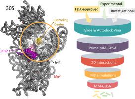 A computational workflow to determine drug candidates alternative to aminoglycosides targeting the decoding center of E. coli ribosome