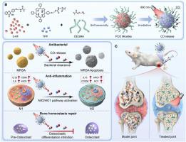 Carbon monoxide (CO)-releasing micelles enable efficient treatment of MRSA-induced septic arthritis and rheumatoid arthritis