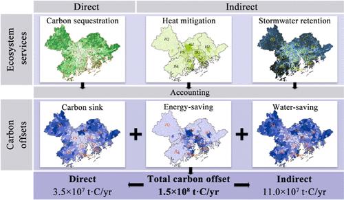 New Perspective to Evaluate the Carbon Offsetting by Urban Blue-Green Infrastructure: Direct Carbon Sequestration and Indirect Carbon Reduction.