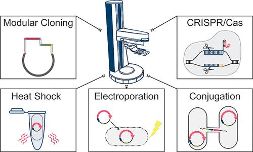 AutoBioTech─A Versatile Biofoundry for Automated Strain Engineering