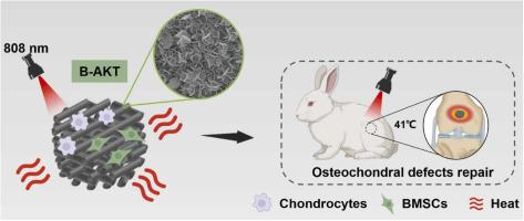 Black bioceramic scaffolds with micro/nano surface structure inducing mild hyperthermal environment for regenerating osteochondral defects