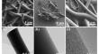 Facile construction of porous carbon fibers from coal pitch for Li-S batteries