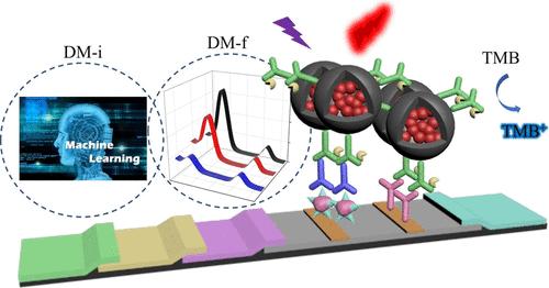 Dual-Mode Fluorescent/Intelligent Lateral Flow Immunoassay Based on Machine Learning Algorithm for Ultrasensitive Analysis of Chloroacetamide Herbicides.