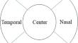 Improvement of corneal epithelial damage after switching from the concomitant use of brinzolamide and brimonidine to a brinzolamide/brimonidine fixed-dose combination.