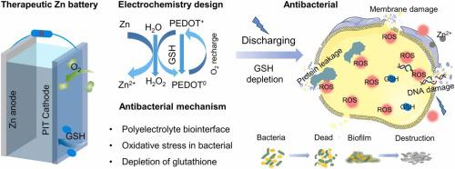 Engineering the electrochemistry of a therapeutic Zn battery toward biofilm microenvironment for diabetic wound healing