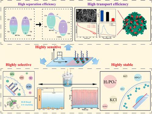 CuInS<sub>2</sub>/Red Phosphorus Nanosheet Interleaved Heterostructures with Improved Interfacial Charge Transfer for Photoelectrochemical Aptasensing.