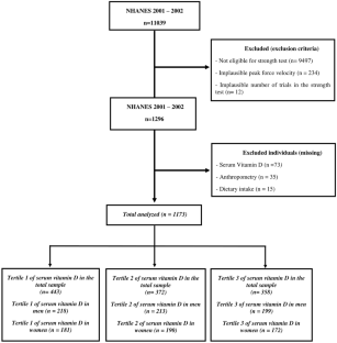 Sex-dependent association of serum vitamin D with muscle strength in older adults: NHANES 2001-2002.