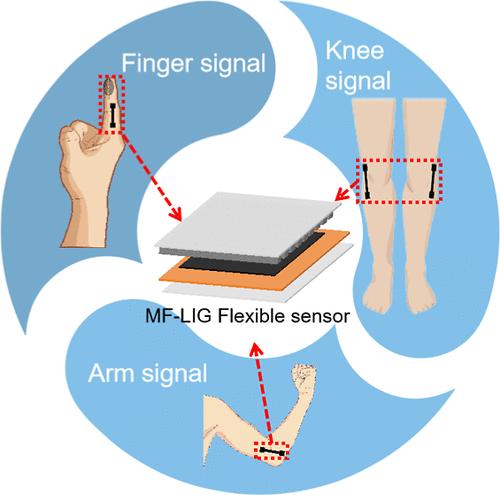 Expanding Laser-Induced Graphene and Polydimethylsiloxane Microstructure Flexible Sensor: Innovative Design and Application Research Inspired by Fingerprint