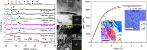 Comprehensive Study on the Microstructural Characterization and Strengthening Mechanism of (α + β) Based Ti-6Al-7Nb Alloy Processed Via Mechanical Alloying and Spark Plasma Sintering