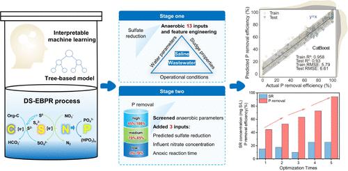 Optimization of a Novel Engineered Ecosystem Integrating Carbon, Nitrogen, Phosphorus, and Sulfur Biotransformation for Saline Wastewater Treatment Using an Interpretable Machine Learning Approach.