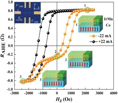 Asymmetric Manipulation of Perpendicular Exchange Bias and Programmable Spin Logical Cells by Spin–Orbit Torque in a Ferromagnet/Antiferromagnet System