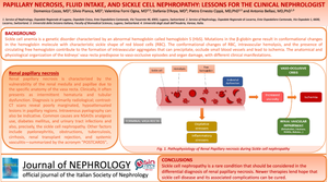 Papillary necrosis, fluid intake, and sickle cell nephropathy: lessons for the clinical nephrologist.