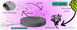 Biogenic synthesis of a nanocomposite based on gold nanoparticles and exfoliated graphite nanoplatelets as an electrocatalyst for methyldopa detection