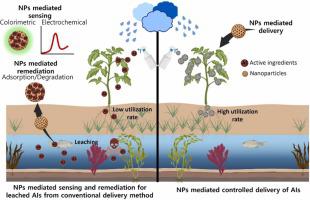 Carbon-based nanomaterials: Multifaceted role in agrochemical recognition, remediation, and release