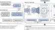 Emotion AWARE: an artificial intelligence framework for adaptable, robust, explainable, and multi-granular emotion analysis