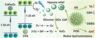 Gold Nanodots-Anchored Cobalt Ferrite Nanoflowers as Versatile Tumor Microenvironment Modulators for Reinforced Redox Dyshomeostasis.