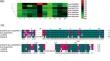 High expression of ethylene response factor BcERF98 delays the flowering time of non-heading Chinese cabbage.