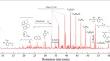 Low-Temperature Oxidation of Diesel Particulate Matter Using Dielectric Barrier Discharge Plasma