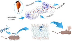 A Critical Review of Short Antimicrobial Peptides from Scorpion Venoms, Their Physicochemical Attributes, and Potential for the Development of New Drugs.