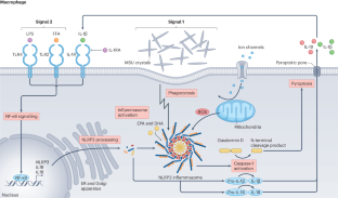 The pathogenesis of gout: molecular insights from genetic, epigenomic and transcriptomic studies