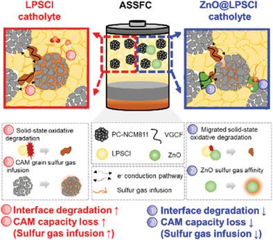 An Effective Catholyte for Sulfide-Based All-Solid-State Batteries Utilizing Gas Absorbents.