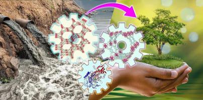 Bioremediation of organic pollutants by laccase-metal–organic framework composites: A review of current knowledge and future perspective