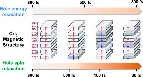 Magnetic Structure-Dependent Ultrafast Spin Relaxation in Magnet CrI<sub>3</sub>: A Time-Domain ab Initio Study.