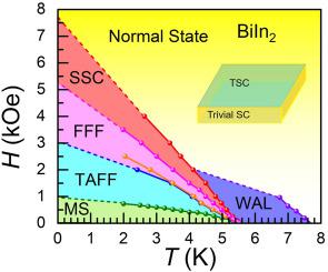 Two-dimensional superconductivity with exotic magnetotransports in conventional superconductor BiIn2