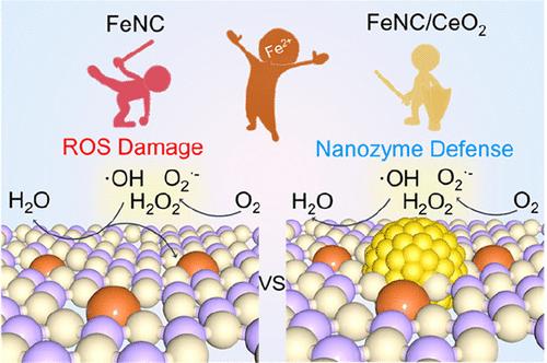 Improvement in ORR Durability of Fe Single-Atom Carbon Catalysts Hybridized with CeO<sub>2</sub> Nanozyme.