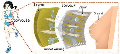 3D Wetting Gradient Janus Sports Bras for Efficient Sweat Removal: A Strategy to Improve Women's Sports Comfort and Health.