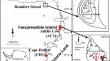 Microbial hydrogenation of cholesterol to coprostanol by anaerobic bacteria: evidence from Antarctic lacustrine sediment