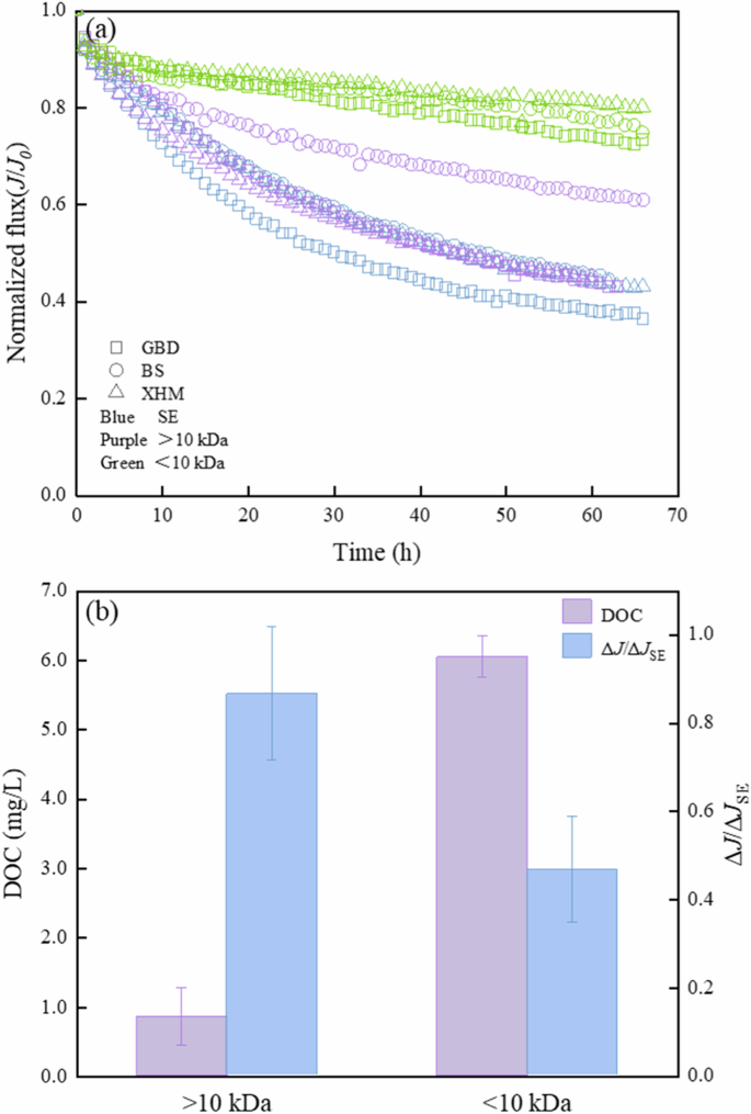 Molecular weight insight into critical component contributing to reverse osmosis membrane fouling in wastewater reclamation