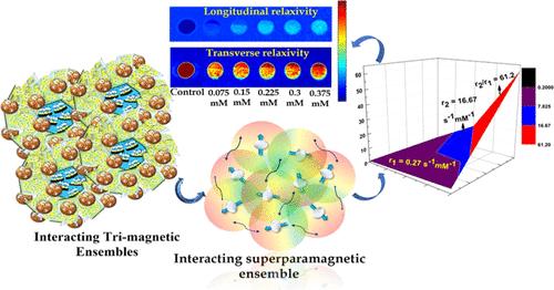 Interacting Trimagnetic Ensembles for Enhanced Magnetic Resonance Transverse Relaxivity.