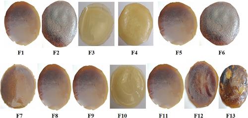 Investigating the physicochemical, antimicrobial and antioxidant properties of chitosan film containing zero-valent iron nanoparticles and oregano essence.