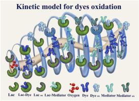 Effective degradation of azo dyes by ABTS (2,2’-azino-bis (3-ethylbenzothiazoline-6-sulfonic acid)) mediated laccase. Kinetic studies