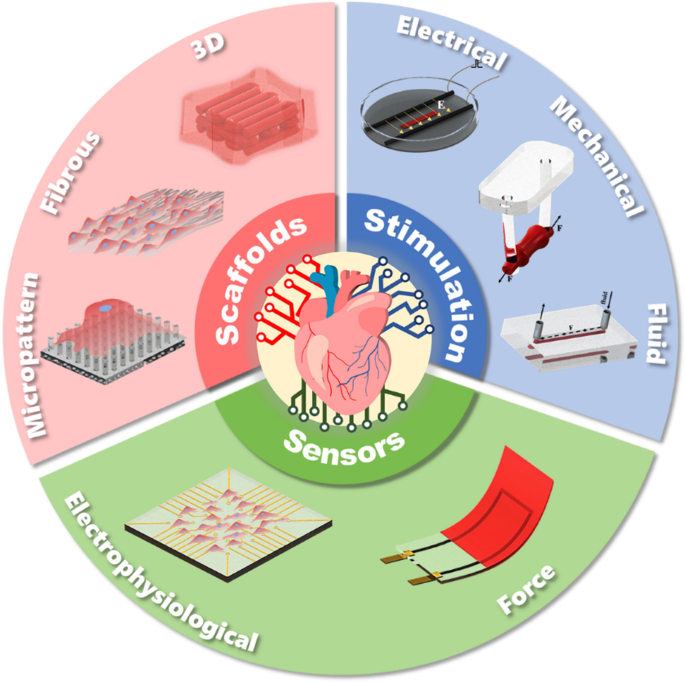 Architecture design and advanced manufacturing of heart-on-a-chip: scaffolds, stimulation and sensors