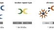 Intracellular galectin interactions in health and disease.